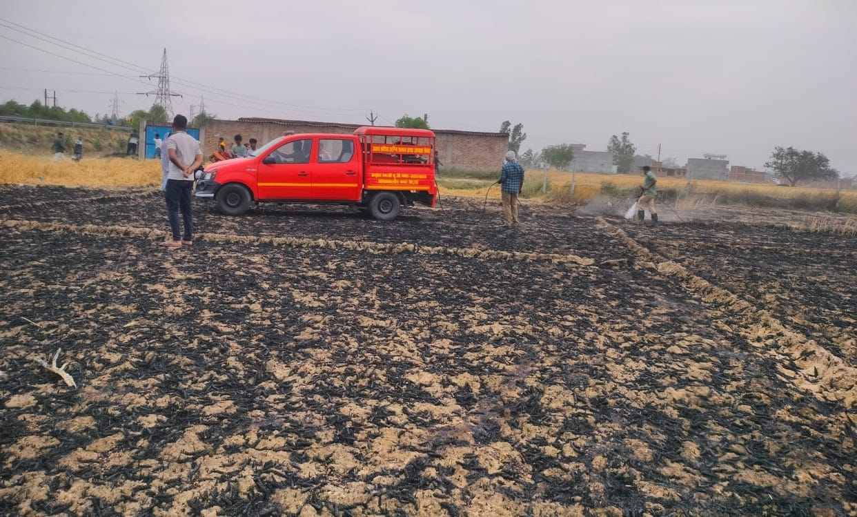 85 bighas of wheat burnt due to fire caused by short circuit
