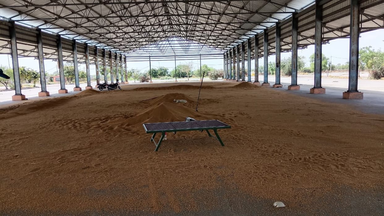 Wheat arrivals continue in the markets due to moisture hindrance, procurement could not be done