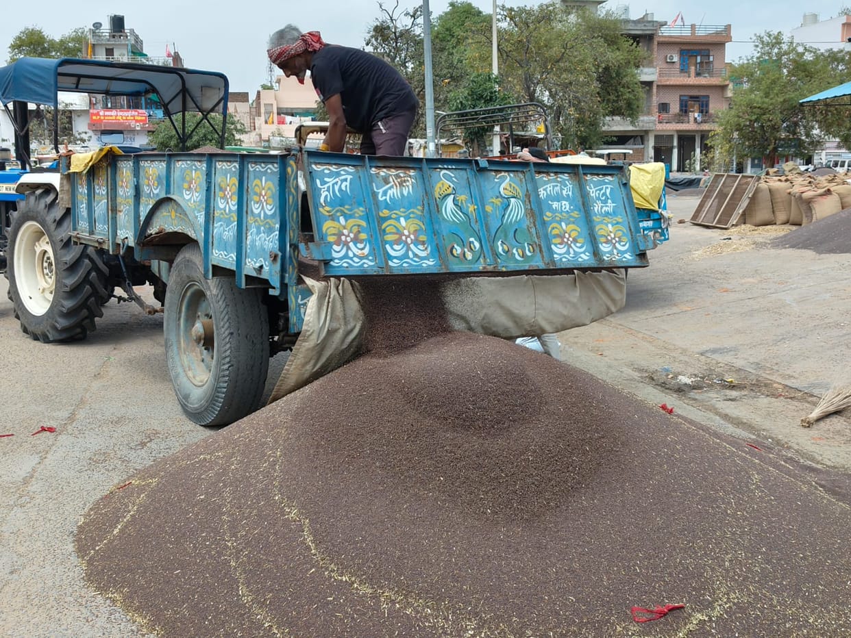 A total of 477 gate passes were cut in the new grain market.