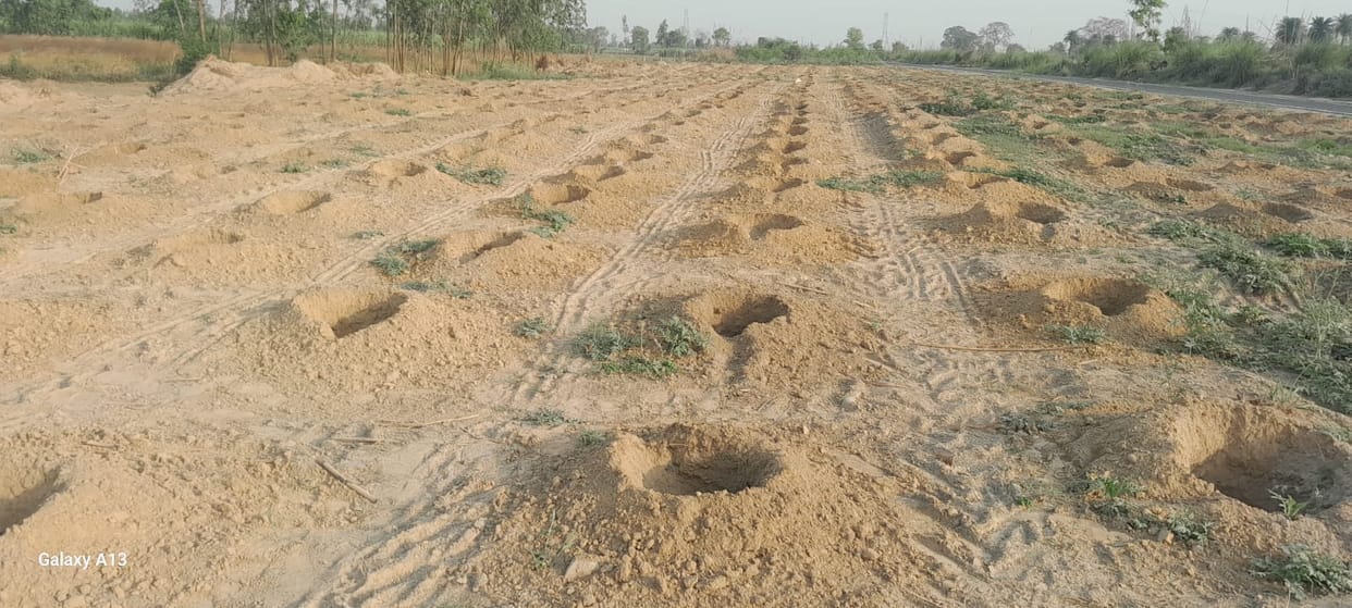 Braj Region to Plant 16.4 Million Saplings During Monsoon Green Drive