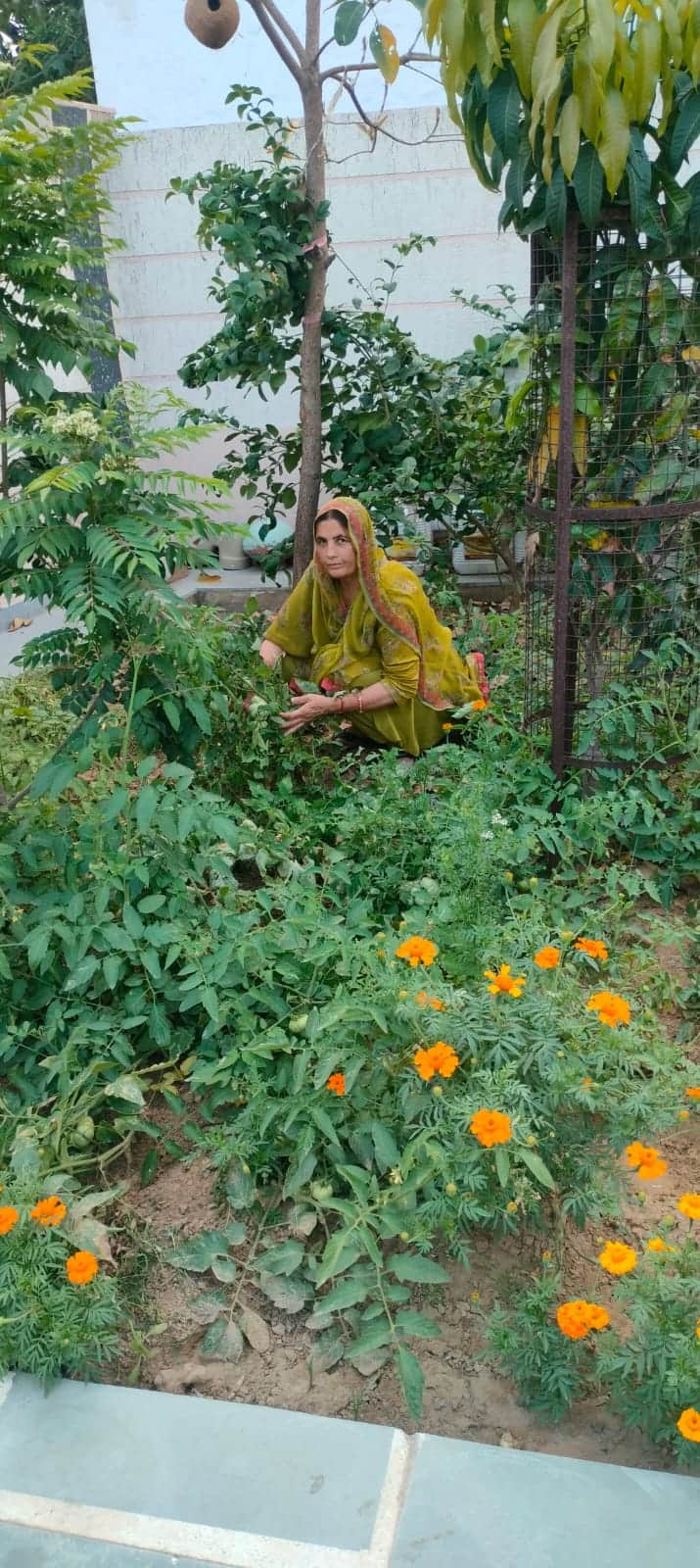 05jjrp10-अपनी बगिया को संवारती  खानपुर खुर्द गांव निवासी छोटा गहलावत। स्रोत : परिजन