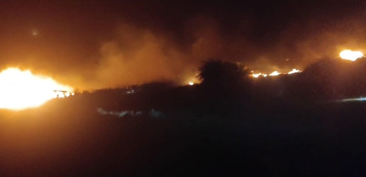 Fire broke out in the fields, 30 bighas of crops were burnt
