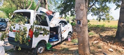 A tyre burst caused the car to overturn and hit a tree, killing two people