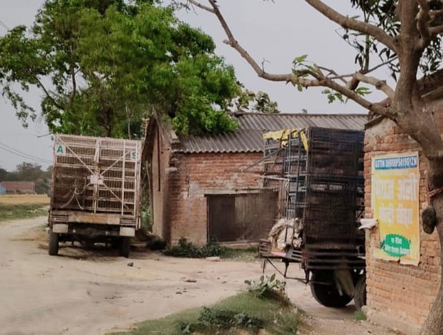 Bird flu in Nepal... alert in border areas