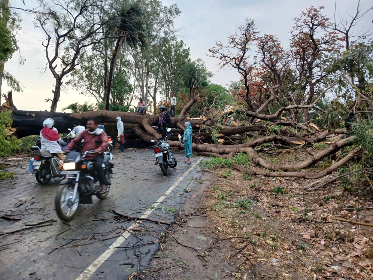 Storm and rain wreaked havoc, destroying crops and blocking many roads due to fallen trees.