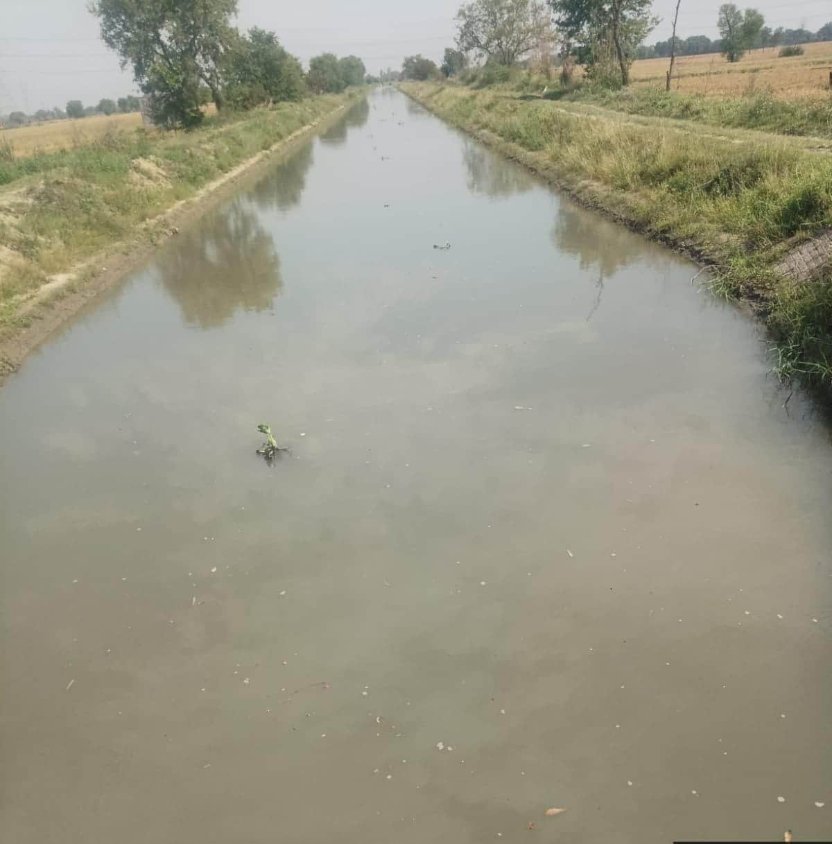 फोटो 55 : बहादुरगढ़ क्षेत्र से गुजर रही नहर। स्रोत सिंचाई विभाग