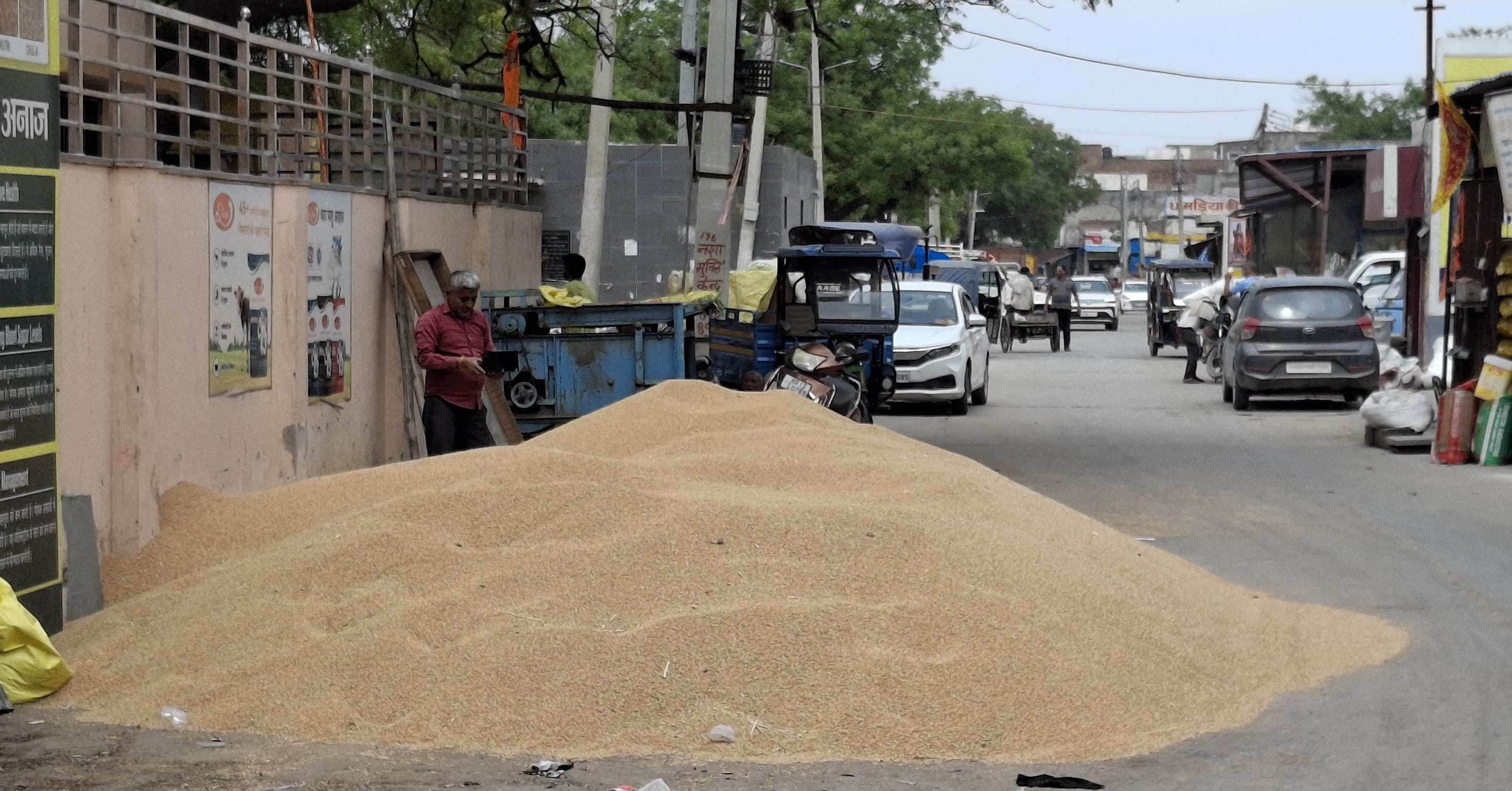 -फोटो 97 : बहादुरगढ़ की अनाज मंडी में पड़ा गेहूं। संवाद