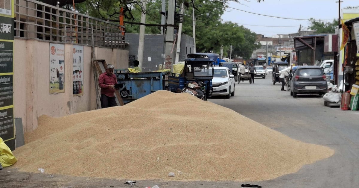 Jhajjar-Bahadurgarh News: आसौदा और बहादुरगढ़ मंडी में पहुंचा 2063 क्विंटल गेहूं