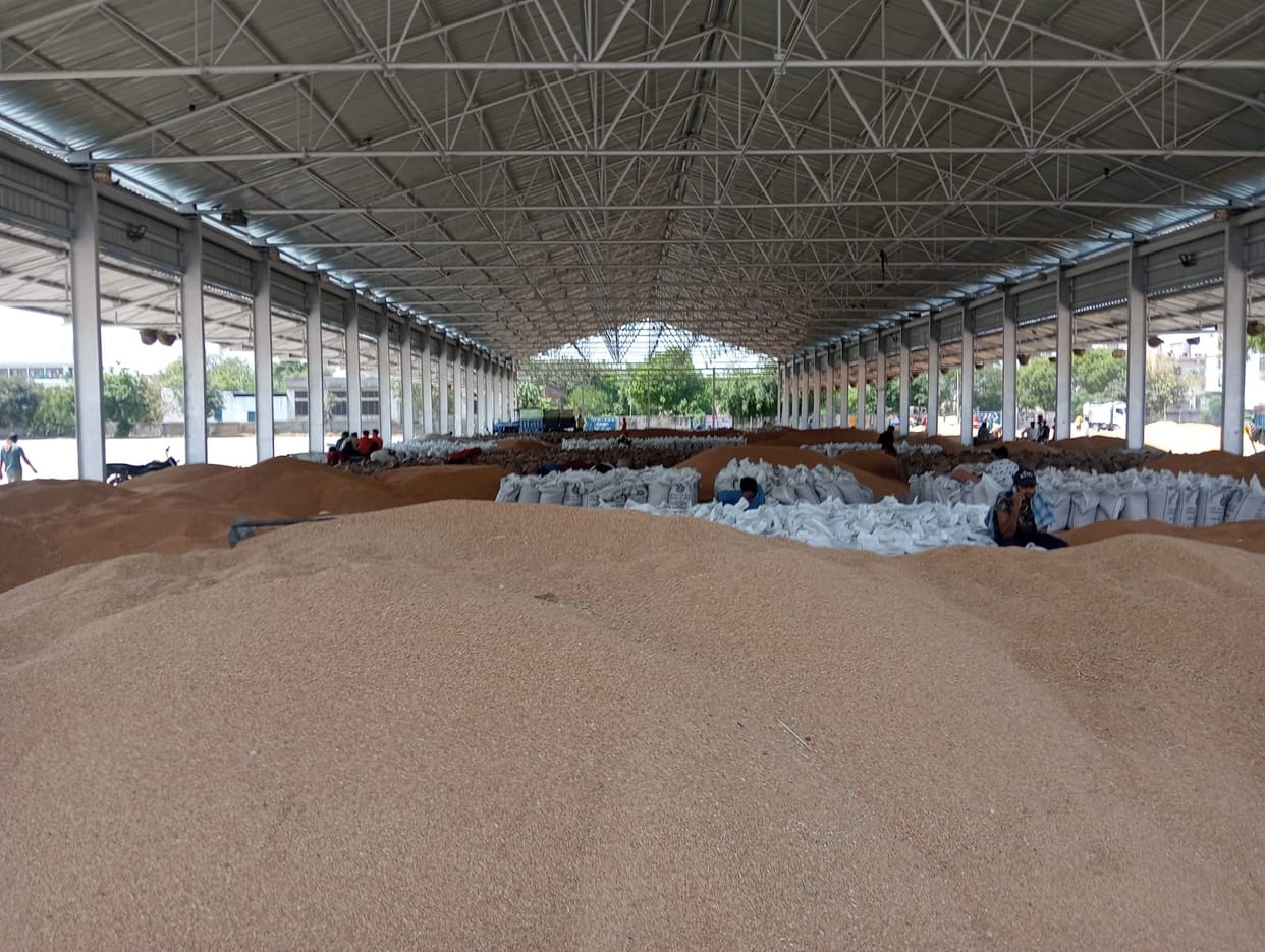 HWD did not buy wheat due to moisture and lack of cleanliness