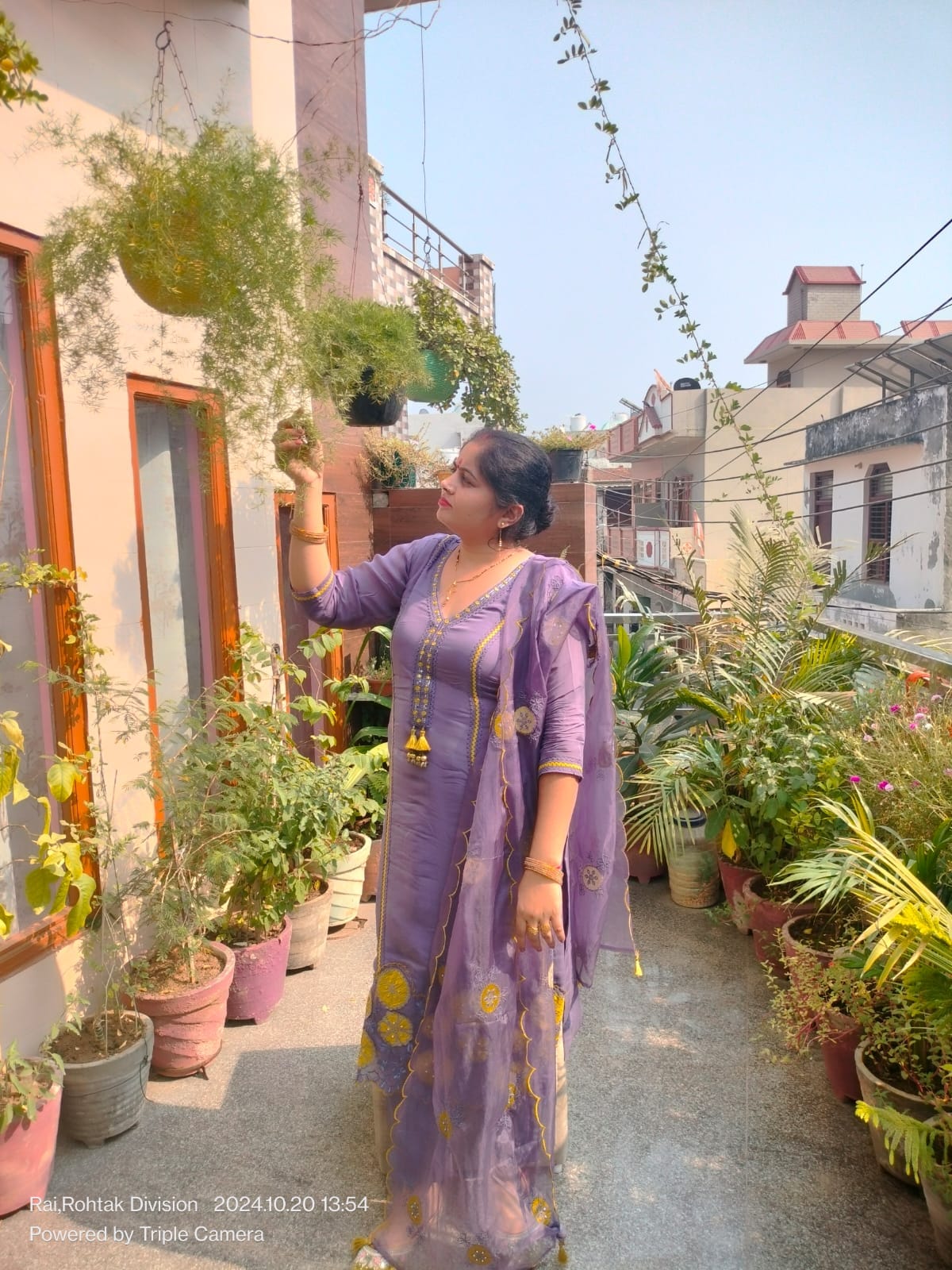 A fragrant garden of flowers blooming amidst concrete