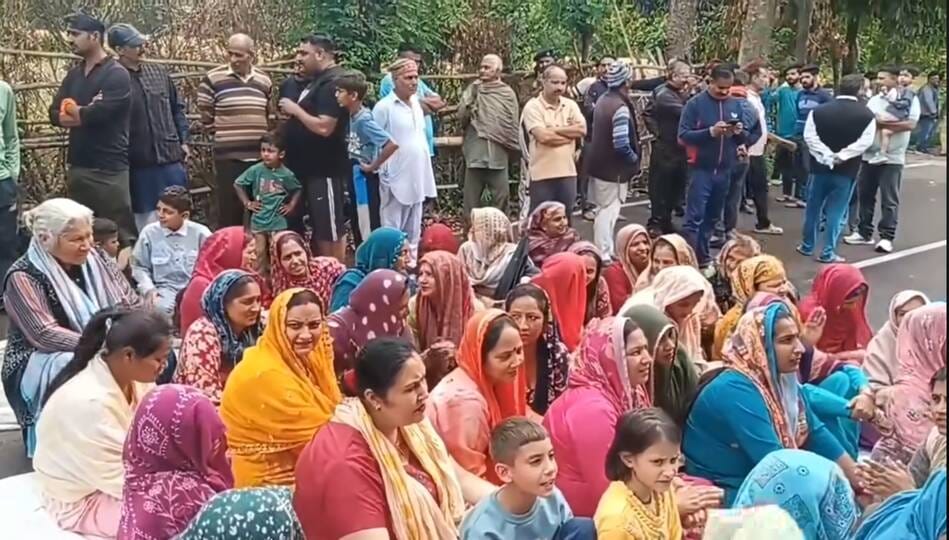Except for the Municipal Council, Mehtpur Basdehra, women dominate everywhere else.