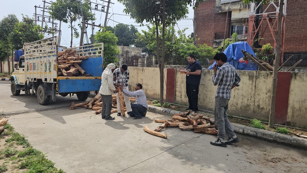 Khair wood worth lakhs recovered from house in Jatowala, three brothers arrested