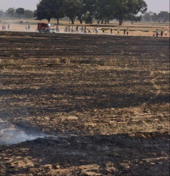 35 bigha crops burnt to ashes due to fire