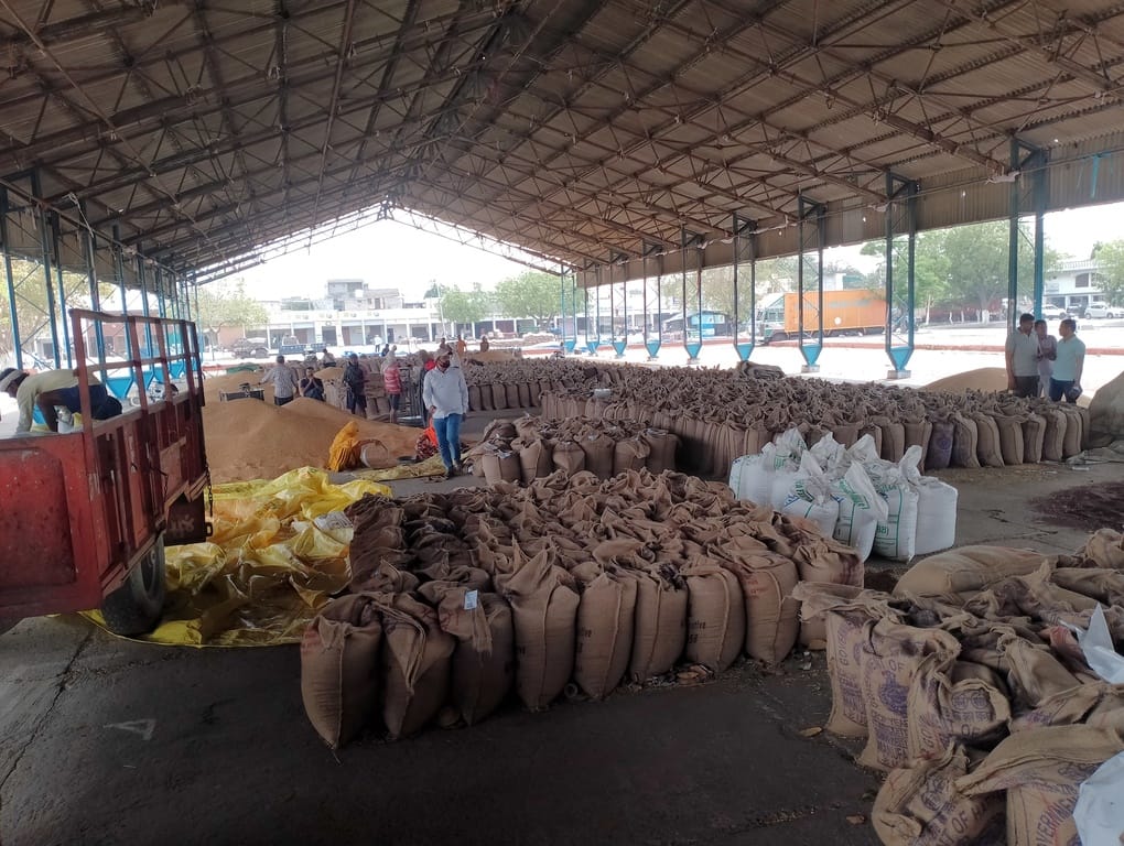 Arrivals in the markets increased, purchase and lifting were slow.