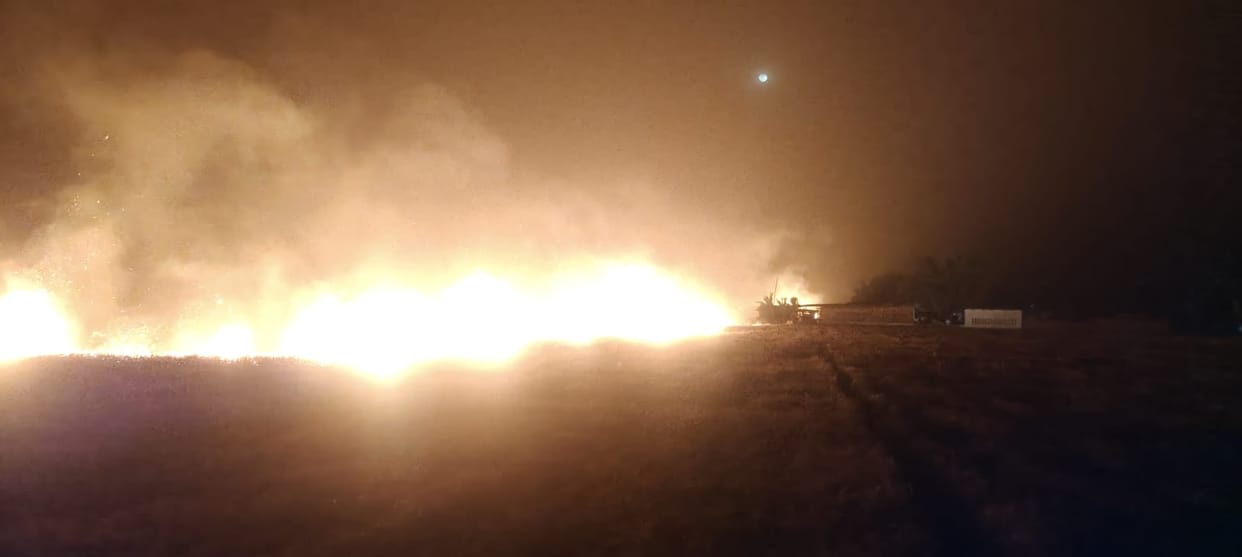 Wheat crop reduced to ashes by fire in Mahuli
