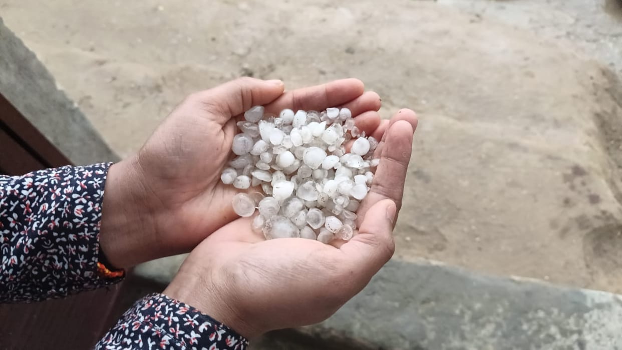 Hailstorm destroys crops, farmers worried