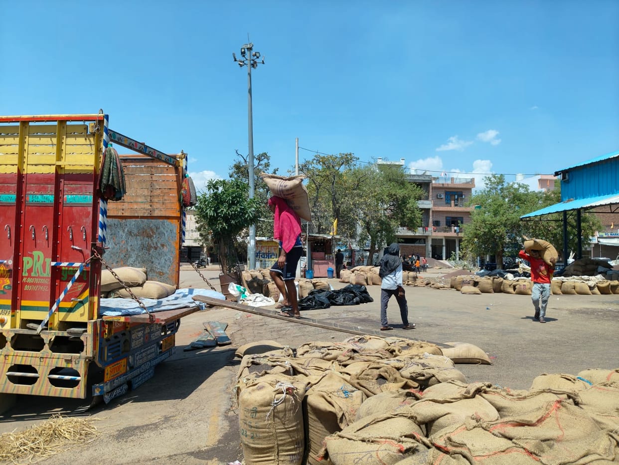 So far, 1.30 lakh quintals of mustard have arrived at the market, with 70 percent of the stock having been lifted.
