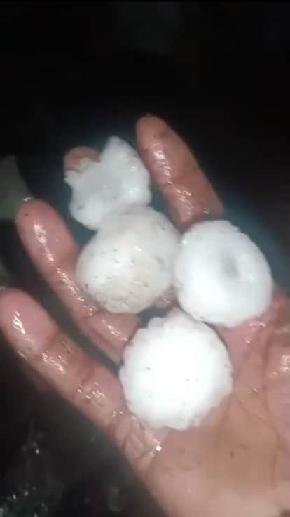 Unseasonal rain and hailstorm wreak havoc in Madhya Pradesh, destroying crops in several districts