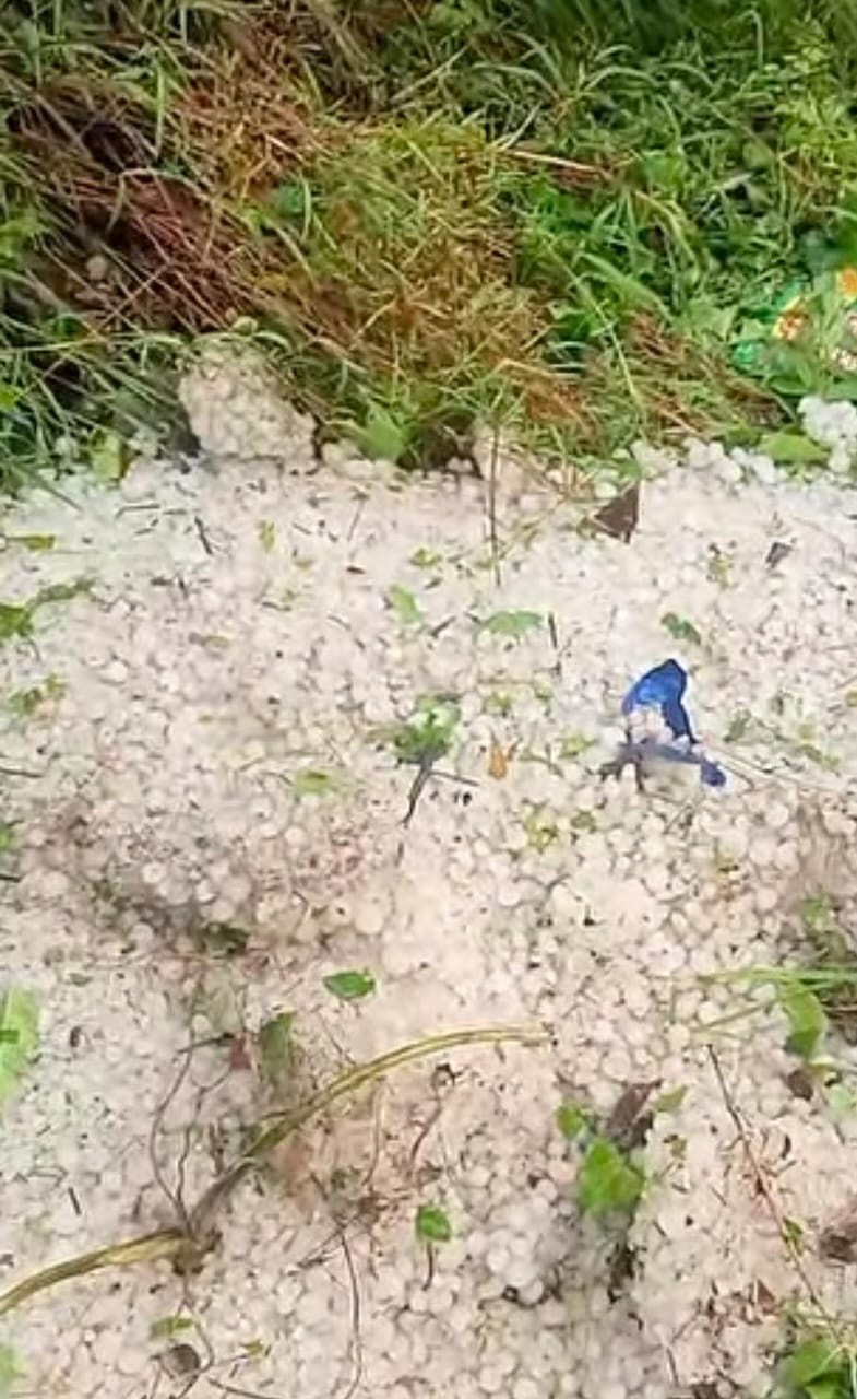 rain destroyed case crops