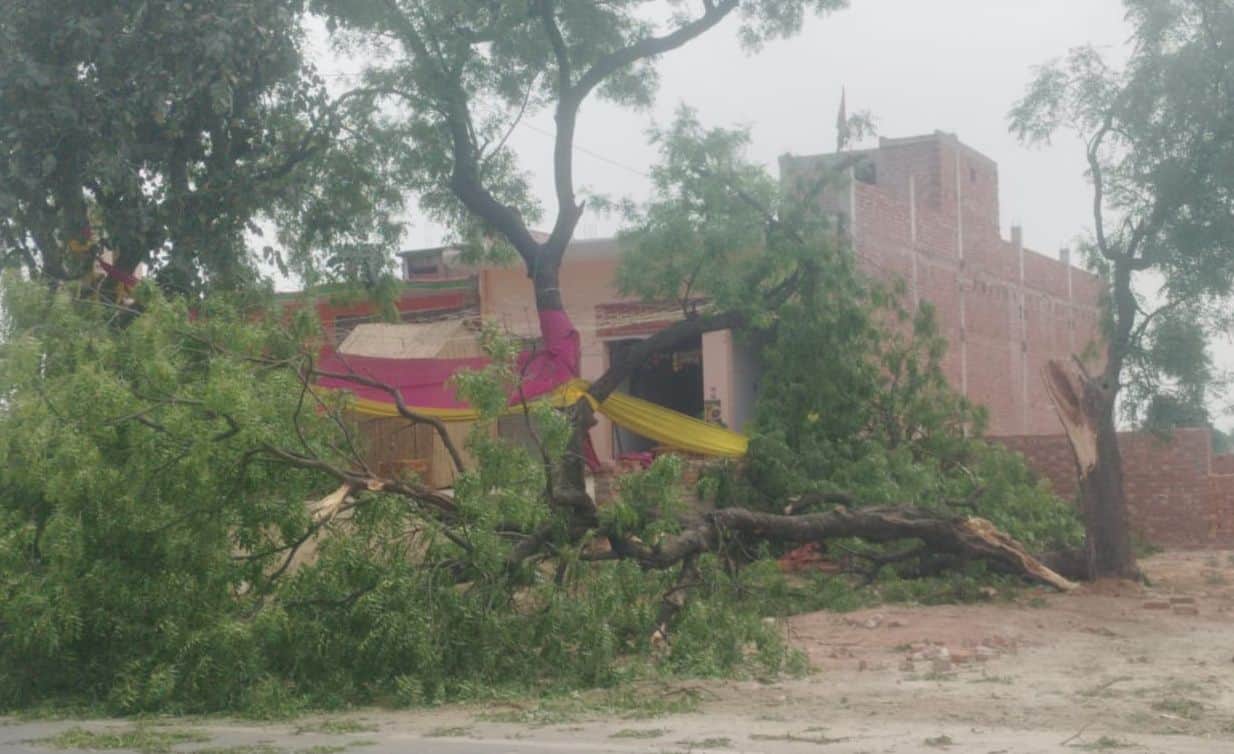 पड़ौआ में रोड पर गिरा नीम का पेड़। संवाद