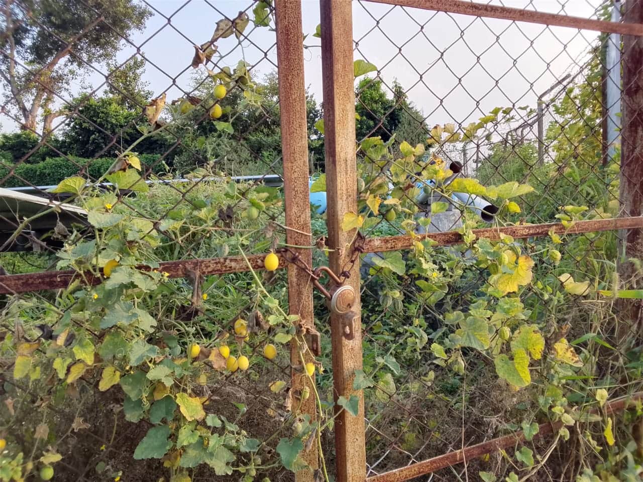 रंबा गांव में सोलर पंप पर लगा ताला संवाद