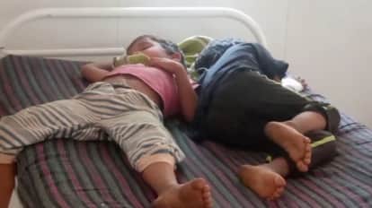 Five children fell ill after eating Ratanjot seeds while playing in the fields.