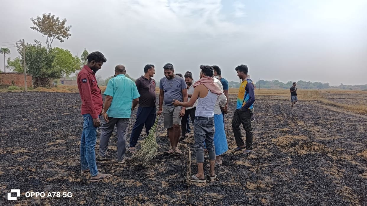 Three bighas of wheat crop burnt due to short circuit in high tension wire.