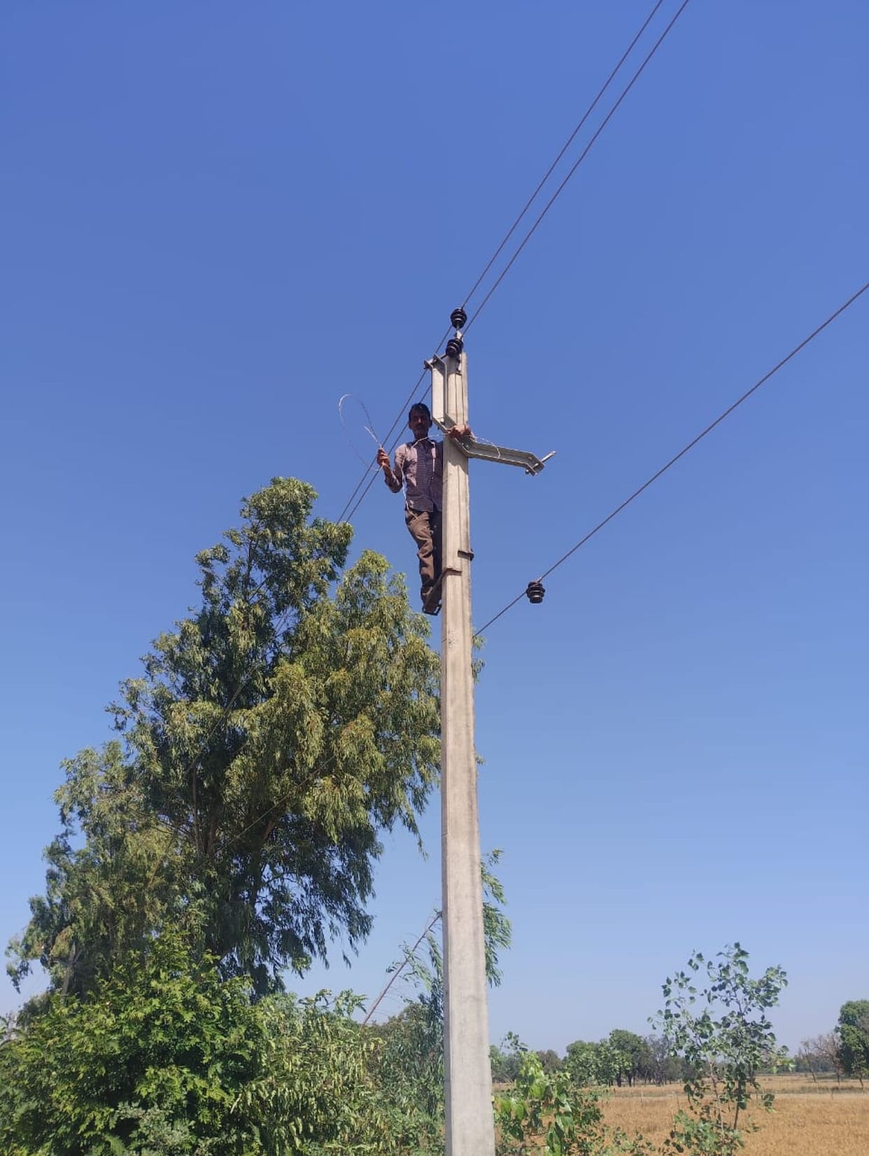 Strong Storm Snaps Power Poles and Wires; 12 Substations Remain Shut Down Overnight