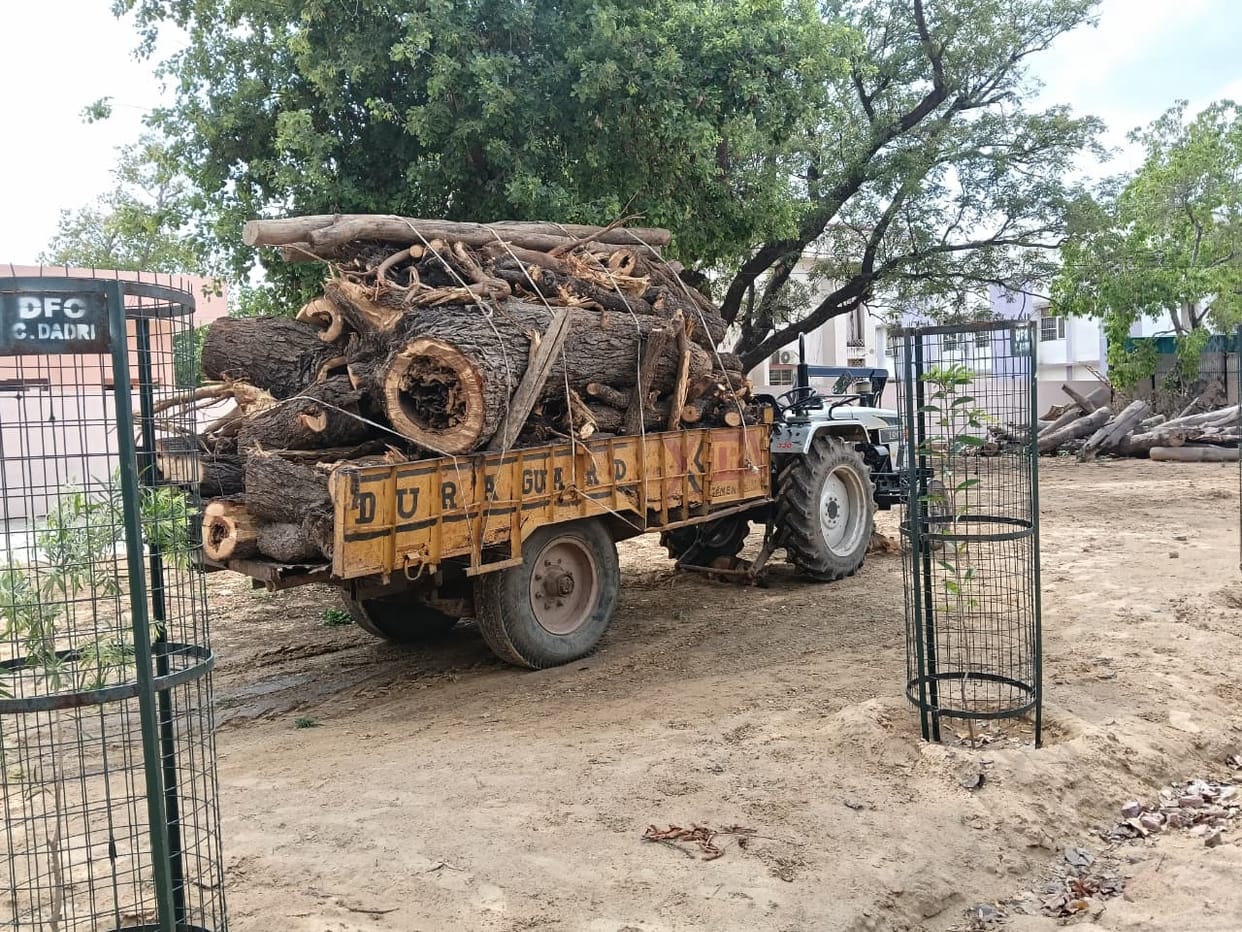 A tractor-trolley loaded with wood was seized and the Forest Department began investigating.