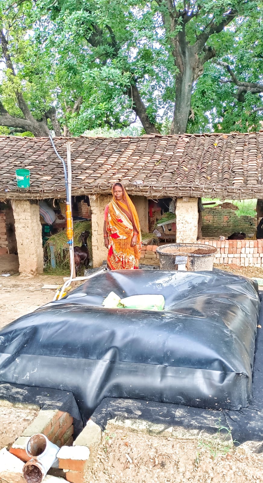 Hope ignited by the flame of biogas... relief from the gas crisis