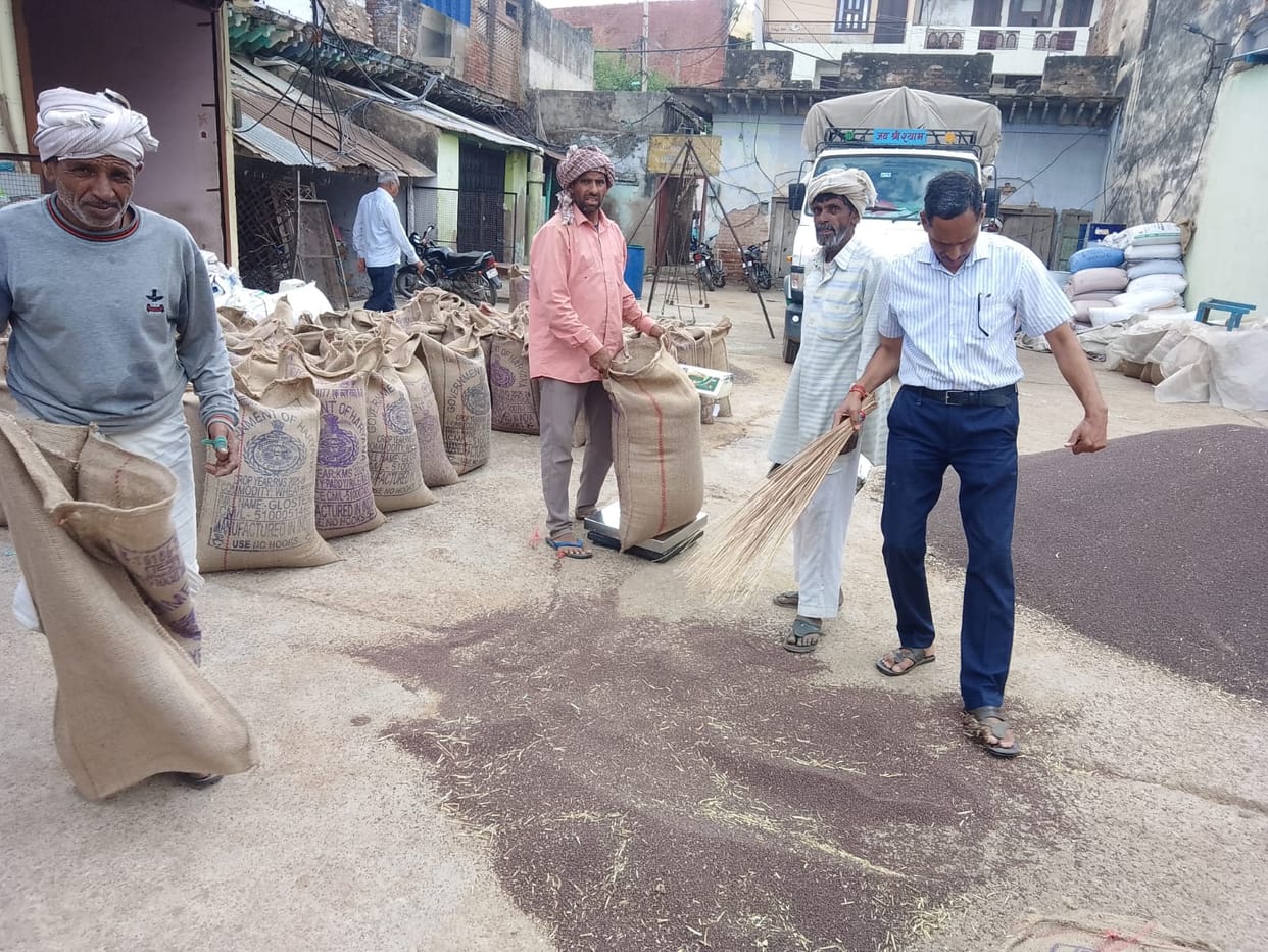 Mustard arrivals surge in markets; dispute over prices between farmers and traders.