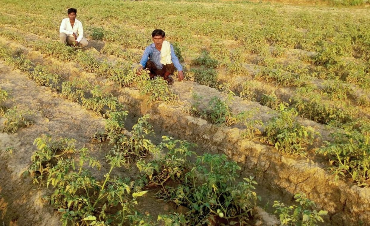 Rain, storm and hailstorm cause concern for farmers