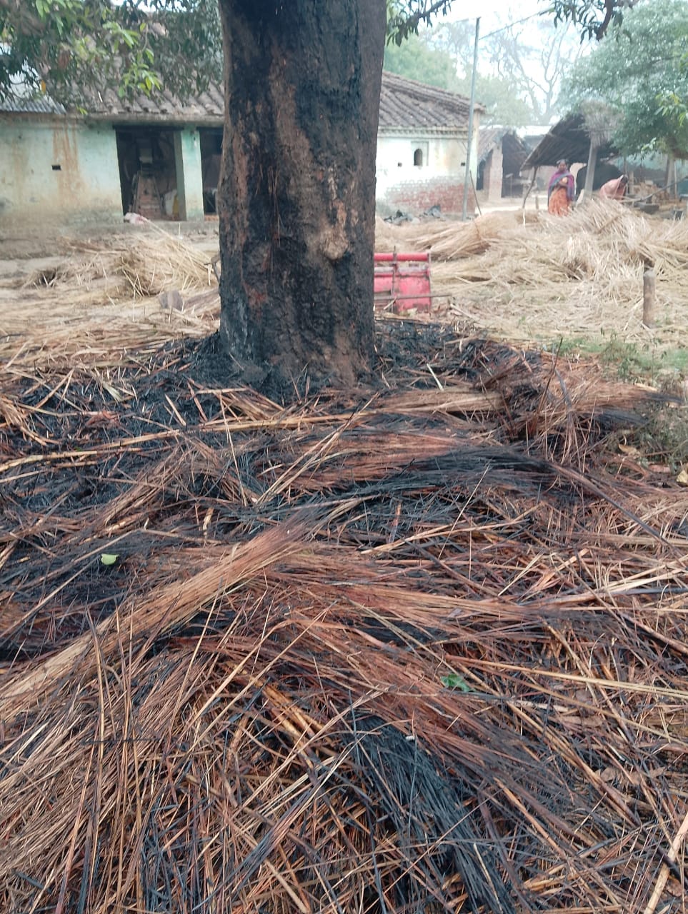 The roof burned due to lightning, the old man saved his life by running away