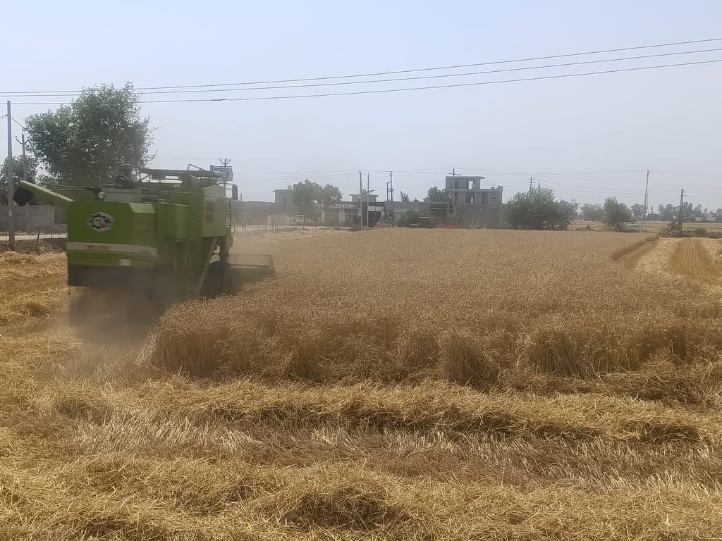 Government facilities for farmers who burn wheat stubble will be stopped, the agriculture department will keep an eye on farmers who burn wheat residues