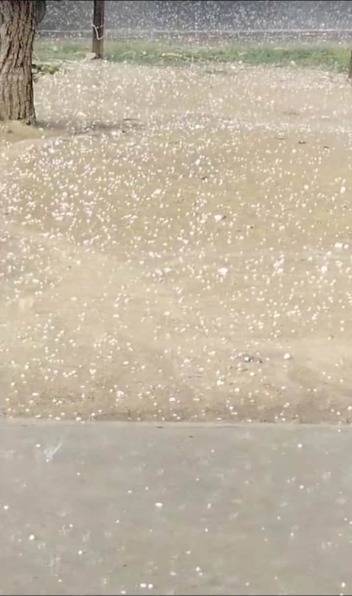 खीरी में हुई ओलावृष्ट की फोटो