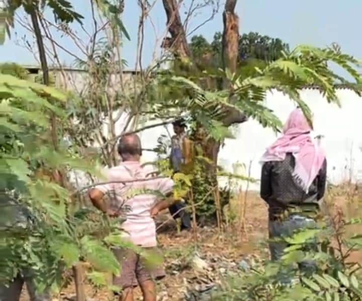 कोरबा समाचार