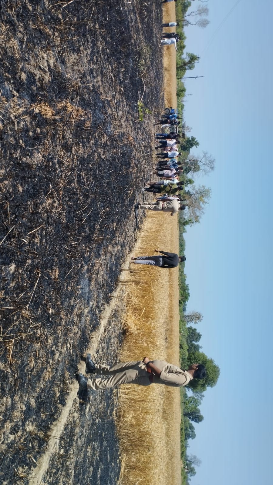 Five bighas of wheat crop burnt due to fire in two villages