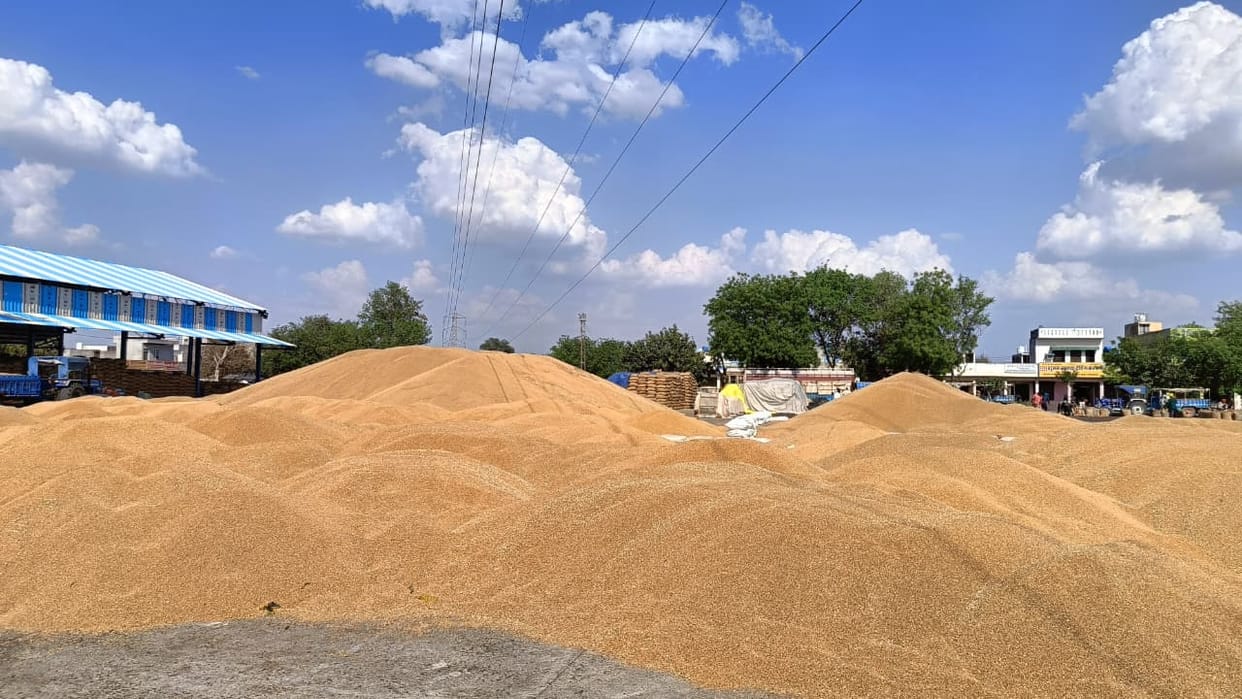From today, wheat and mustard will be procured 24 hours a day in the mandis, farmers will be able to sell their crops even at night.