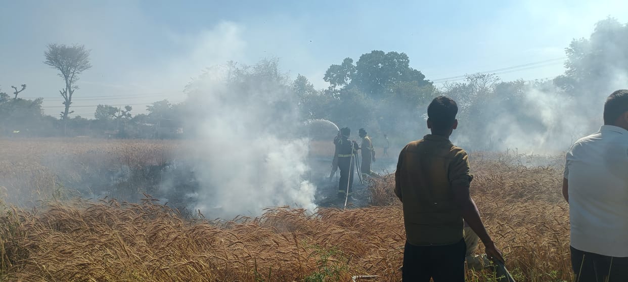Wheat crop burnt in Mahadevri