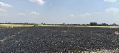 51 bigha wheat crop burnt due to spark from transformer