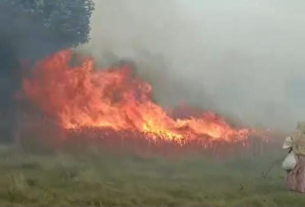 Over 25 bighas of wheat crop belonging to 14 farmers was destroyed in a fire in 24 hours.