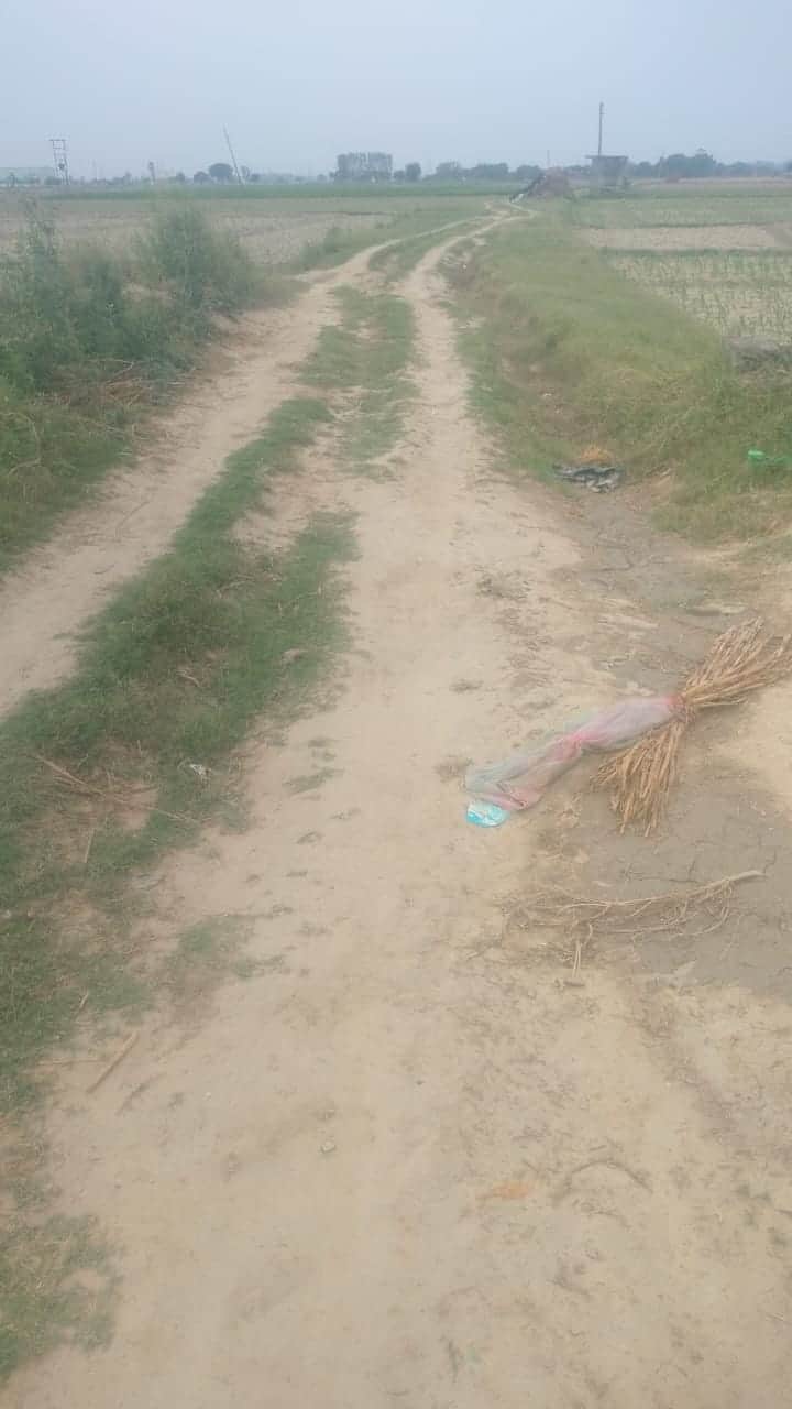 नाई से मिघोईया जाने बाला कच्चा रोड। स्रोत- ग्रामीण