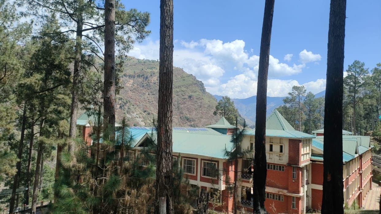 Burnt trees standing near Nerwa College pose a threat
