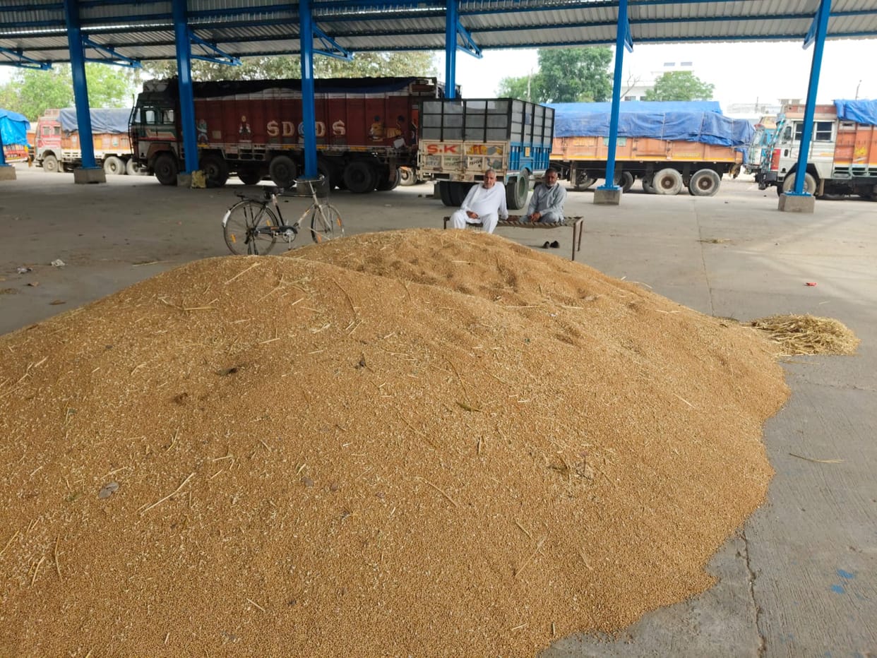 Wheat lying in the market since the first day is likely to spoil due to non-purchase.