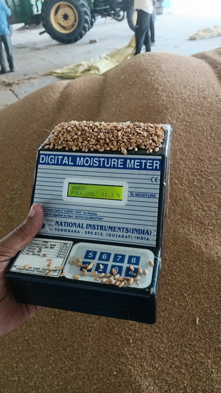 Wheat ready to be sold, officials making moisture an excuse, inspection found moisture of 11.1 percent