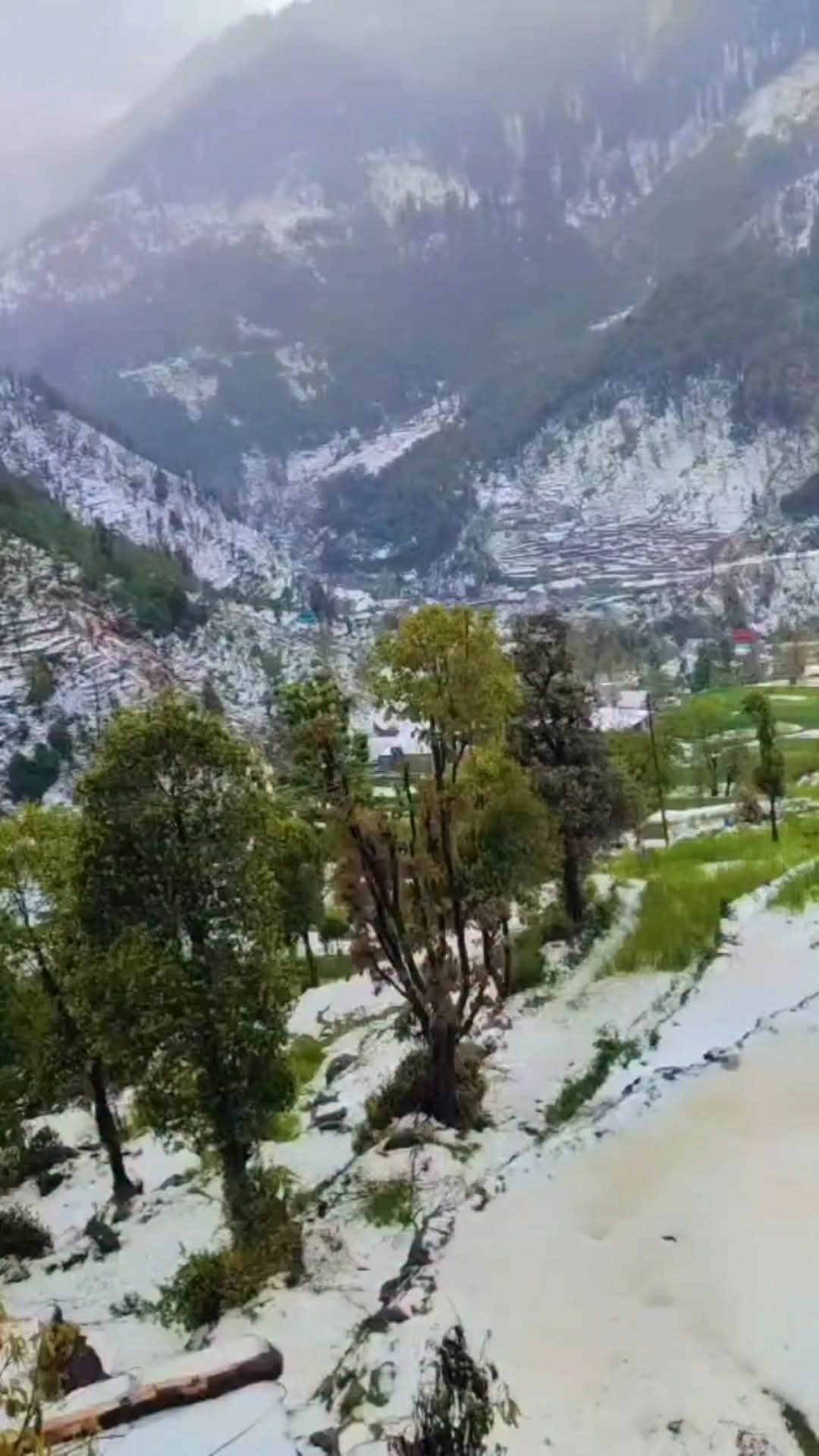 राजोरी के दरहाल मे हुई ओलावृष्टि।