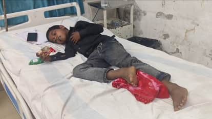 Bihar News: Snakebite Cases Rise with Heat, 5 People Including a Child Bitten; Treatment Ongoing in Hospitals