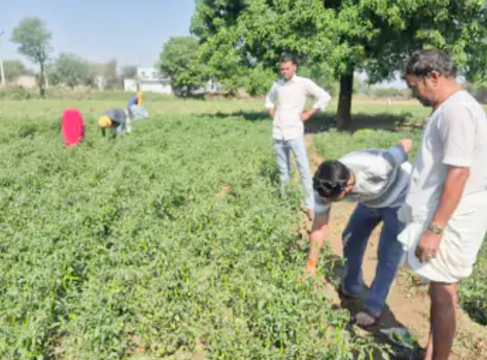 फसल को हुए नुकसान की जांच करते अधिकारी