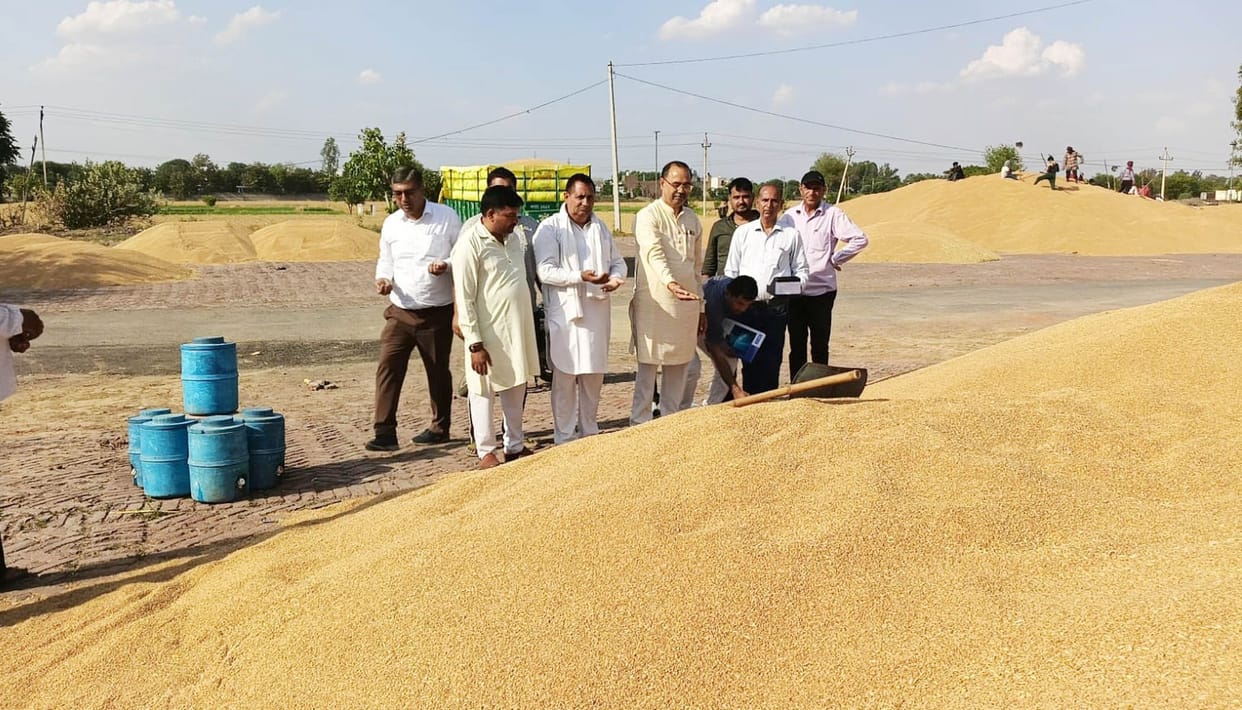 Wheat procurement has commenced at the Aleva Mandi and Naguran procurement centers.