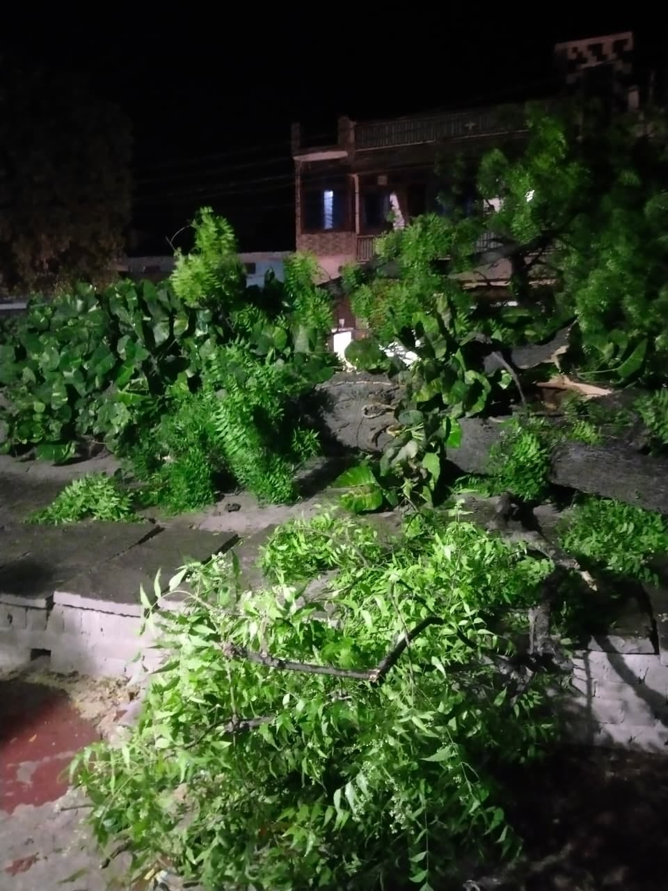 Storm wreaks havoc, teen cyclist dies after tree falls on him